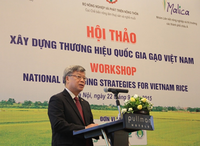 Workshop "National branding strategies for vietnam rice"